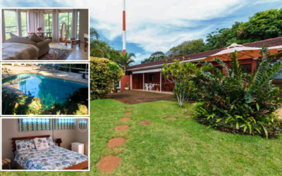 Cycasia Lodge